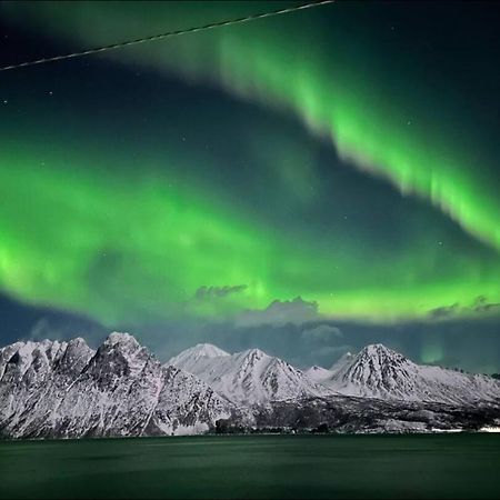 Innsletta Holiday Home Harstad Ngoại thất bức ảnh